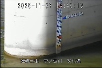 文化橋 のカメラ画像