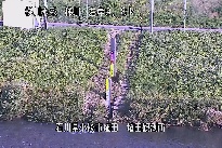 埴田 のカメラ画像