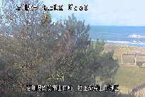 根上海岸 のカメラ画像