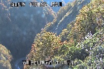 中ノ川下流 のカメラ画像