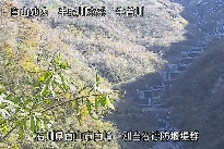 別当谷 のカメラ画像