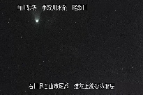 猿花 のカメラ画像