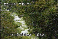 東二口 のカメラ画像