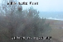 根上海岸 のカメラ画像