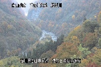 猿花 のカメラ画像