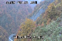 中ノ川下流 のカメラ画像