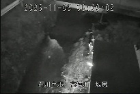 坂尻 のカメラ画像