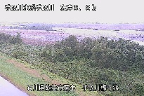 手取川橋下流 のカメラ画像