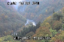 猿花 のカメラ画像