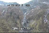 柳谷上流 のカメラ画像