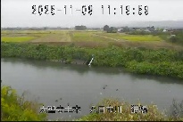 猫橋 のカメラ画像