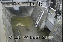 取水樋門 のカメラ画像
