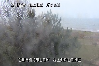 根上海岸 のカメラ画像