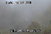 猿花 のカメラ画像