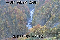 中ノ川中流 のカメラ画像