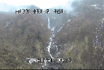 柳谷上流 のカメラ画像