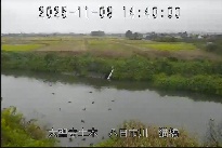 猫橋 のカメラ画像