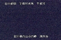 河内谷 のカメラ画像