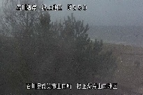 根上海岸 のカメラ画像