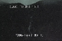 柳谷上流 のカメラ画像