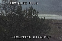 根上海岸 のカメラ画像