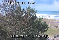 根上海岸 のカメラ画像
