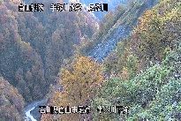 中ノ川下流 のカメラ画像