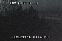 根上海岸 のカメラ画像