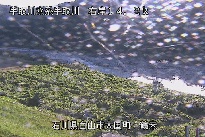 鶴来 のカメラ画像