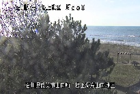 根上海岸 のカメラ画像