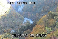 猿花 のカメラ画像