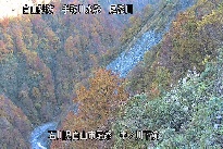 中ノ川下流 のカメラ画像