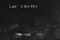 三ツ又 のカメラ画像