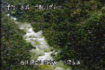 東二口 のカメラ画像