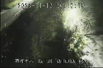 飯山川飯山橋 のカメラ画像