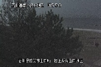 根上海岸 のカメラ画像