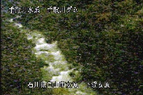 東二口 のカメラ画像