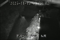 坂尻 のカメラ画像