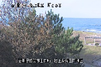 根上海岸 のカメラ画像