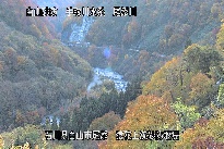 猿花 のカメラ画像