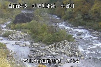 河内谷 のカメラ画像