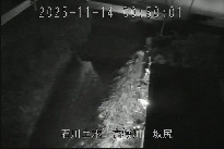 坂尻 のカメラ画像