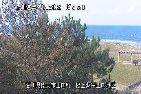 根上海岸 のカメラ画像