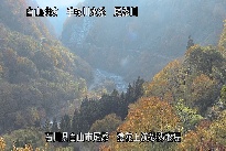 猿花 のカメラ画像