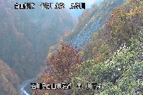 中ノ川下流 のカメラ画像