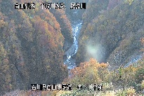 中ノ川中流 のカメラ画像
