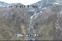 柳谷上流 のカメラ画像