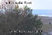 根上海岸 のカメラ画像