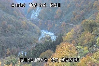 猿花 のカメラ画像