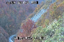 中ノ川下流 のカメラ画像